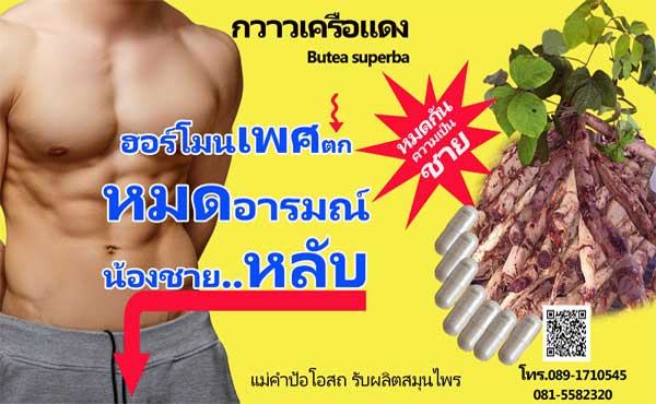 ยาเพิ่มฮอร์โมนเพศชาย สูตรกวาวเครือแดงผสมยาบำรุงกำลัง เพิ่มความกำหนัด