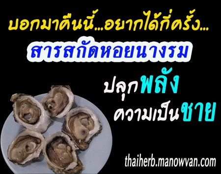 หอยนางรม เพิ่มพลังทางเพศ