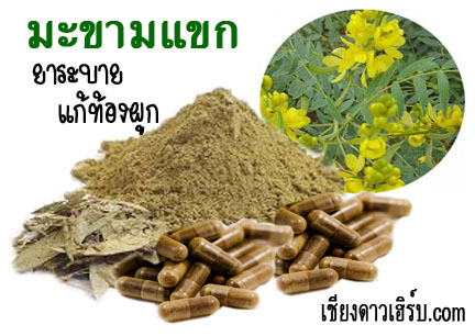 ยาระบาย ยาแก้ท้องผูก